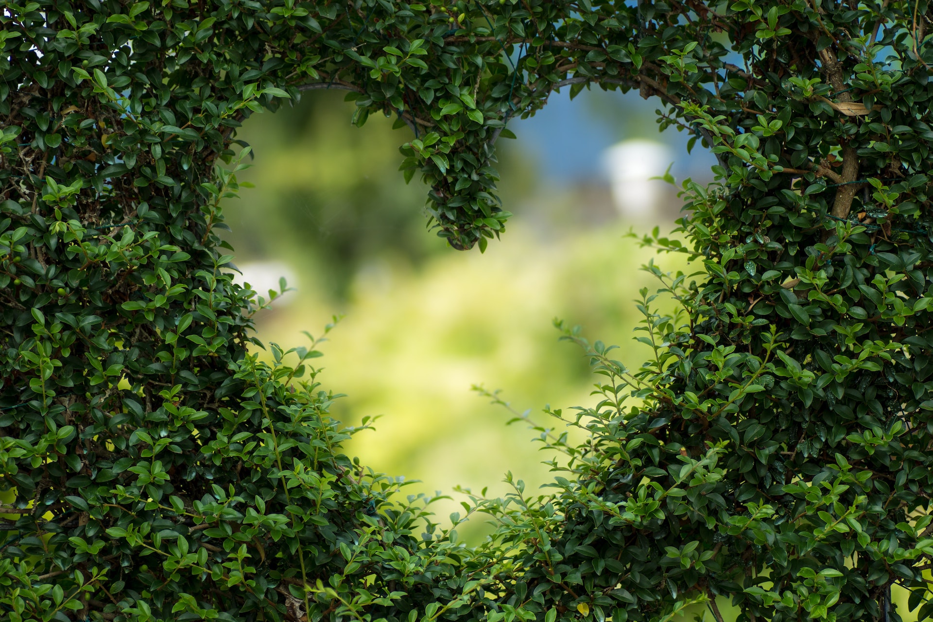 San Valentino Green