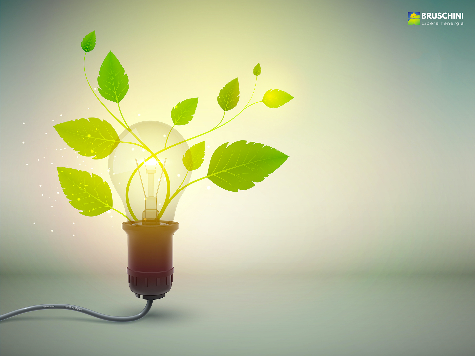 Rivoluzione verde: cosa prevede il Recovery Plan?