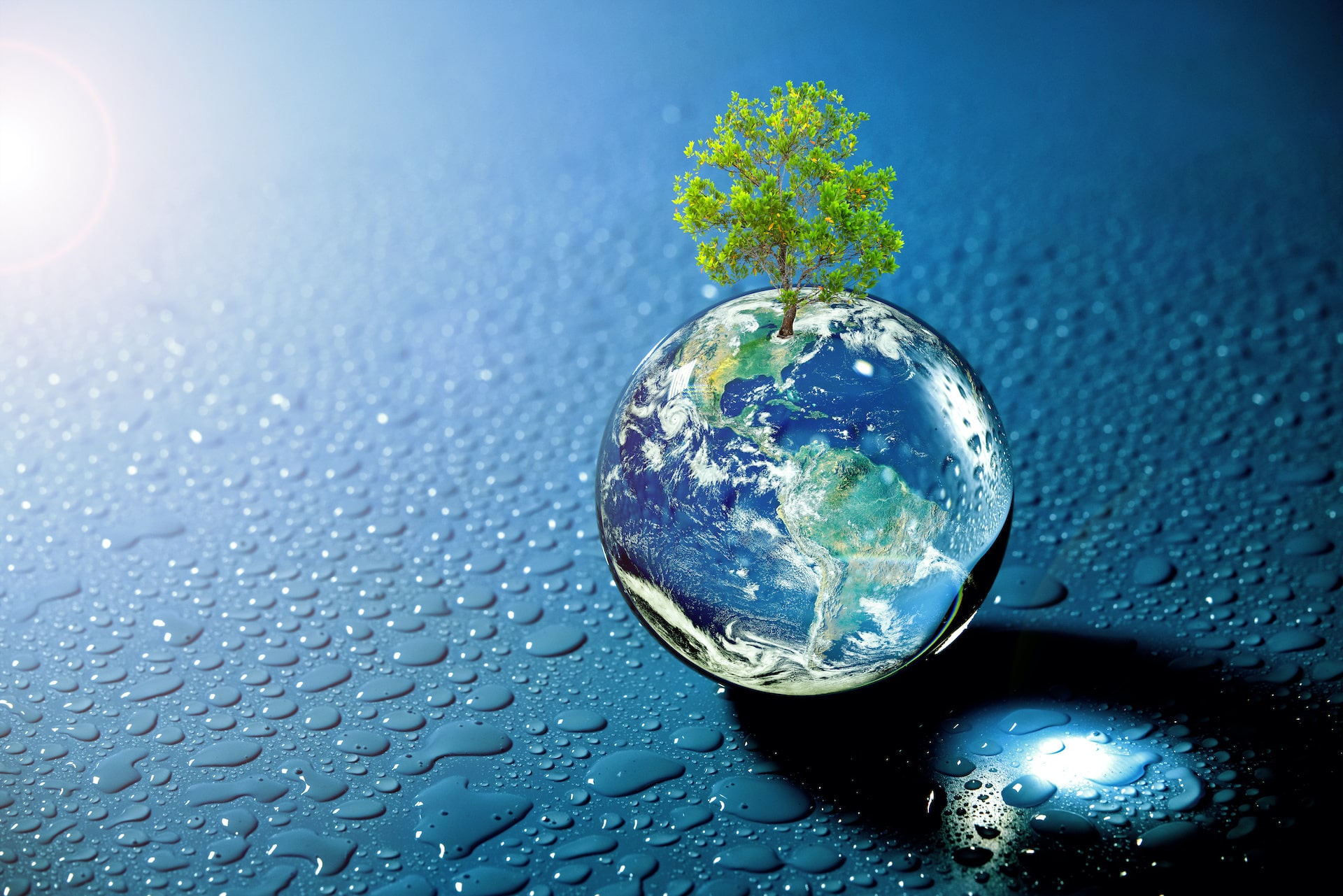 Bilancio di sostenibilità obbligatorio dal 2024